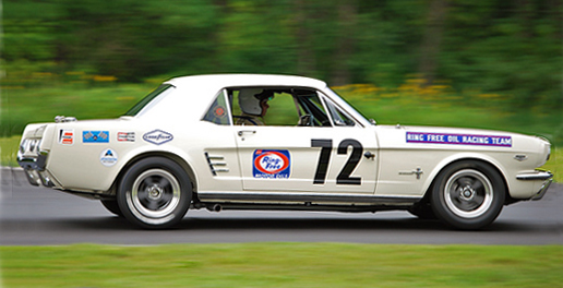 1966 Shelby Notchback Mustang